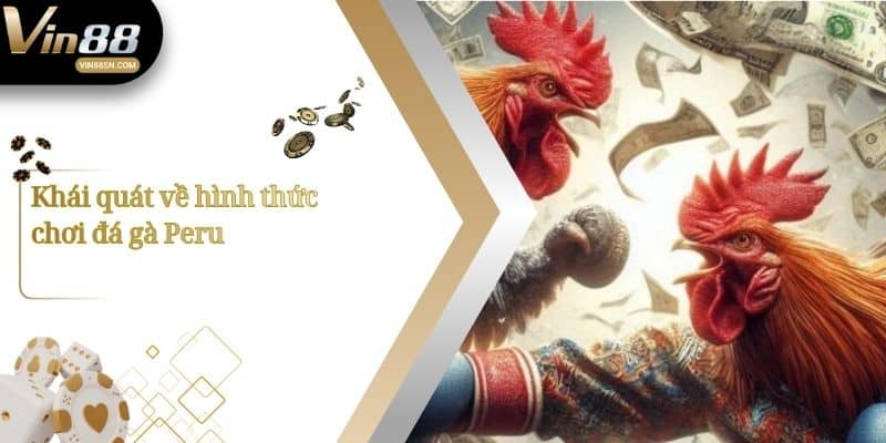 Khái quát về hình thức chơi đá gà Peru