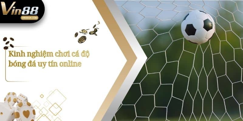 Kinh nghiệm chơi cá độ bóng đá uy tín online