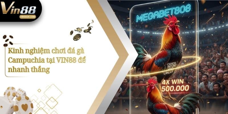 Kinh nghiệm chơi đá gà Campuchia tại VIN88 để nhanh thắng
