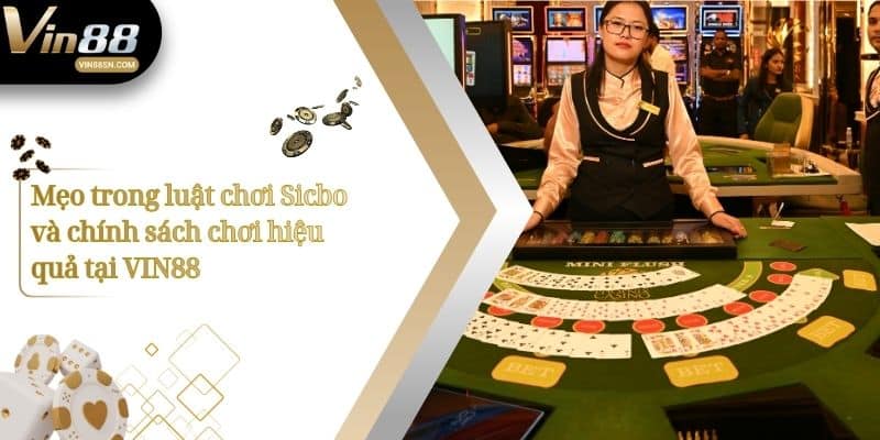 Mẹo trong cách chơi Sicbo và chính sách chơi hiệu quả tại VIN88