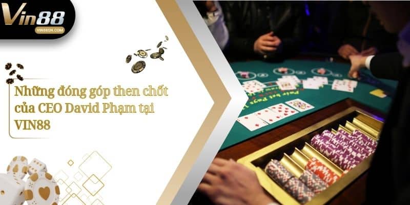 Những đóng góp then chốt của CEO David Phạm tại VIN88